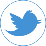 flow-twitter-circle-icon-blue-logo-flat