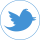 flow-twitter-circle-icon-blue-logo-flat