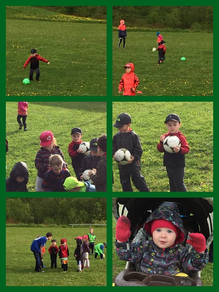 13346420_10156984430185721_8862675446165161340_n